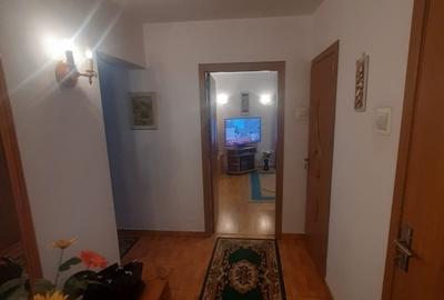 Drumul Taberei, Parc Moghioros - 17