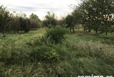 Teren de 500 mp, în Central - 4