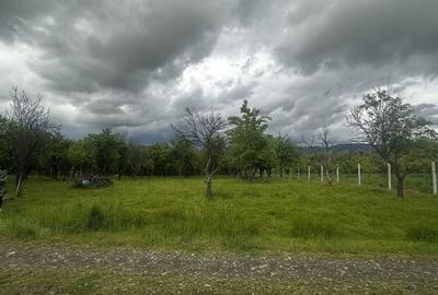 Spațiu comercial, în Negrești-Oaș