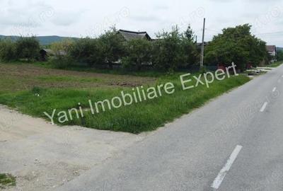 Teren 10.000 mp de vanzare in comuna Ciofrangeni, Judet Arge?. - 5