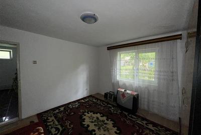 Anunt ?nzare Casa cu Etaj - Statiunea Slanic Prahova - 27