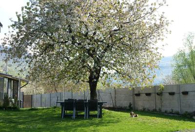 Casă cu 4 camere decomandat în Râu de Mori - 5