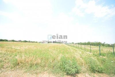 Snagov Ghermanesti - Teren 1637 Mp, Deschidere 19 M, Toate Utilitatile - 4