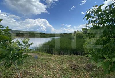 Teren de 10000 mp, în Șărmășag - 7