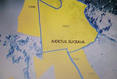 Proprietate de vanzare 92.554.mp ( 9.25 ha) in Bucovina zona Breaza - 5