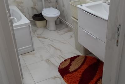 Vanzare proprietate- casa si teren Gheboieni Dambovita - 8
