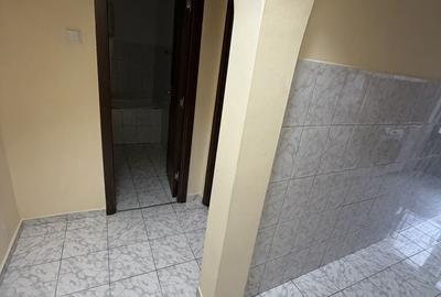 Garsonieră în Mioriței - 8