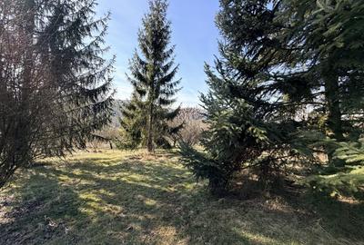 Casă individuală cu 5 camere cu Garaj în Livadea - 40