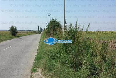 Teren Intravilan Herasti Giurgiu 2 HA - 3