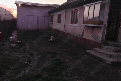 Casa batraneasca plus teren - 5