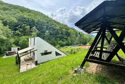 Vand casa la munte in Baisoara -Cluj Vand casa la munte in Baisoara -Cluj - 3