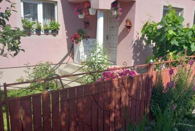Casă cu 3 camere în Osica de Sus - 1