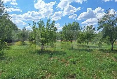 Casă cu 3 camere cu Teren 4600 Mp în Plopi - 2