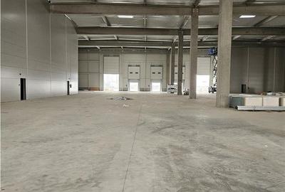 Spațiu comercial, de 1,770 mp, în Vest - 13