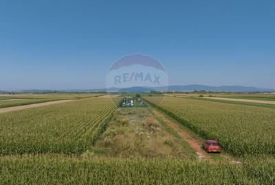 Teren Construcții intravilan de 1463 mp, în Stupini