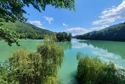 Teren de 1700 mp, în Valea Doftanei - 6