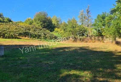 Teren de 3565 mp, în Tutana - 5