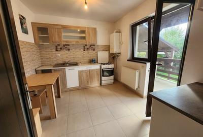 Casa 3 camere, 383mp teren, partial mobilata, utilata. Lunca Cetatuii-Astoria - 3