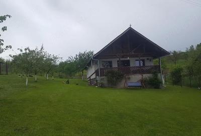 Casă cu 2 camere cu Teren 7500 Mp în Sulighete - 5