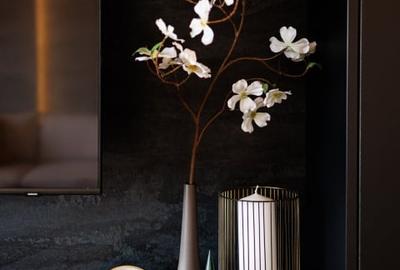 Cel mai frumos apartament cu 2 camere  Mehala-Torontalului, amenajat cu designer - 48