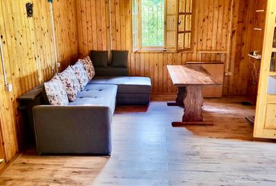 Slanic Moldova - Cabana - Vedere superba - 4