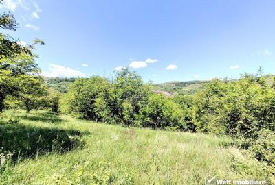 Teren intravilan pentru constructie imobil, Suceagu - 2