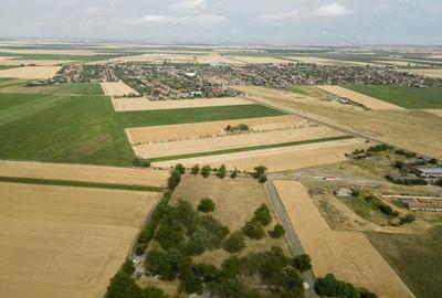 Teren intravilan Sofronea - 5