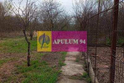 Casă cu 2 camere cu Teren 5000 Mp în Bucșani - 2