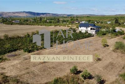 Pensiune 6 camere, teren 12713 mp, Dealul Mare, Urlati, Prah - 1