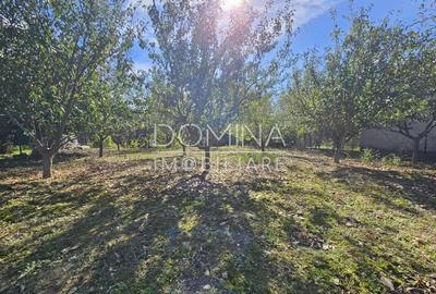 Vanzare teren *intravilan 308 mp cu utilita?i* - Sat Ceauru, Comuna Bale?ti - 4