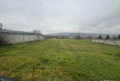 Vand casa in seica mare - 5