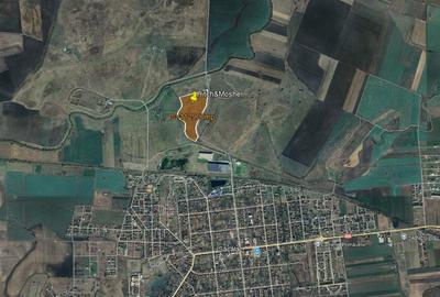 Teren Construcții extravilan de 112900 mp, în Săcălaz - 3