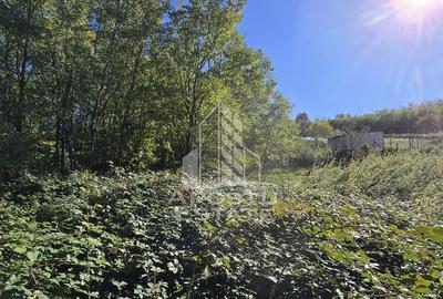 Teren Intravilan Cuied 3260 mp - 2