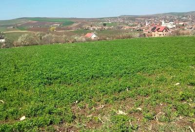 Teren de 3300 mp, în Râciu - 9