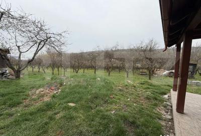 Casă cu 3 camere cu Teren 1000 Mp în Central - 2