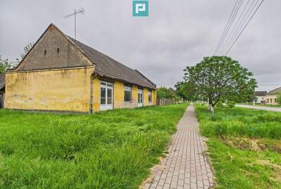 Casa de reabilitat pe teren generos- Comuna Varia? - 18