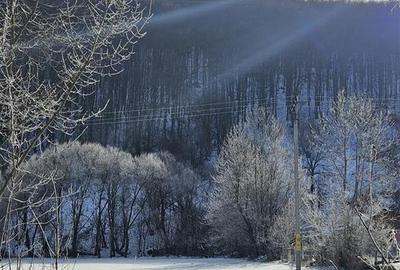 Teren Construcții intravilan de 3200 mp, în Est - 10