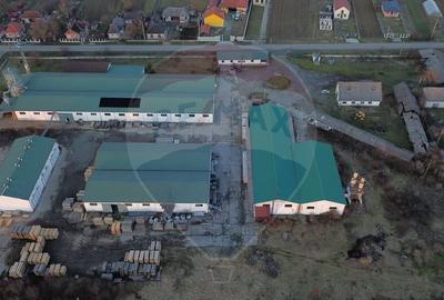 Hale de vanzare-ideale pentru depozit sau productie - 13