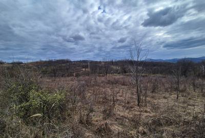 Teren agricol extravilan de 11400 mp, în Iabalcea - 2