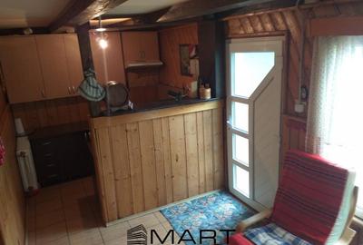 Teren extravilan 7432 mp, cu cabana de lemn Capalna AB - 6