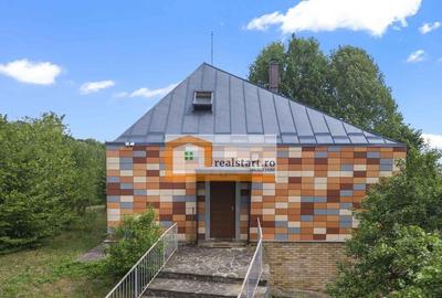 Cornu, Vedere la Padure, Vila D+P+M, 6600mp teren, 4 parcare - 5