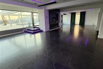 Penthouse cu 7 camere decomandat în Tei - 8