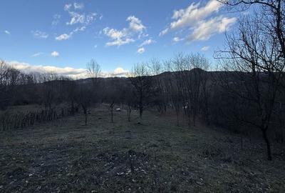 Spațiu comercial, în Central - 4