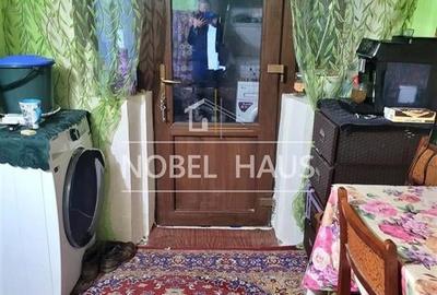 Casa, teren si padure, in sat Siscani, jud Vaslui - 8
