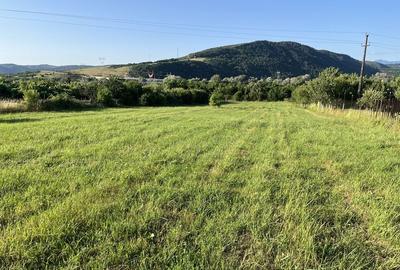 Spațiu comercial, în Deve - 4