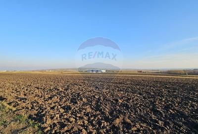 Teren agricol extravilan de 6100 mp, în Stroiești - 7