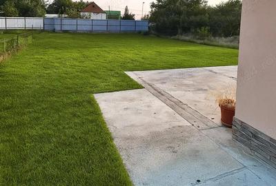 Casă cu 3 camere cu Teren 700 Mp în Sântana - 2