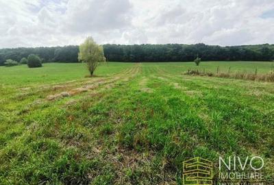 Teren de 5800 mp, în Budiu Mic - 1