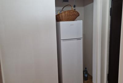 Obor Colentina langa Kaufland - 3