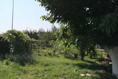 Casă cu 4 camere cu Teren 2463 Mp în Bartolomeu - 7